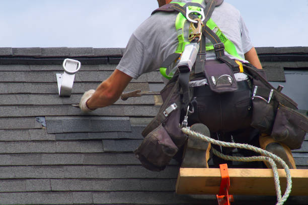 Best Shingle Roofing Installation  in Ridge Wood Heights, FL