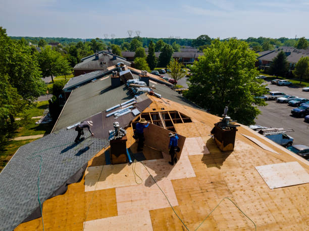 Quick and Trustworthy Emergency Roof Repair Services in Ridge Wood Heights, FL
