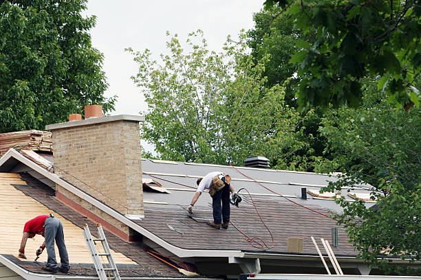 Best Roof Gutter Cleaning  in Ridge Wood Heights, FL