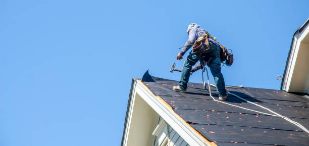 Best Commercial Roofing Services  in Ridge Wood Heights, FL